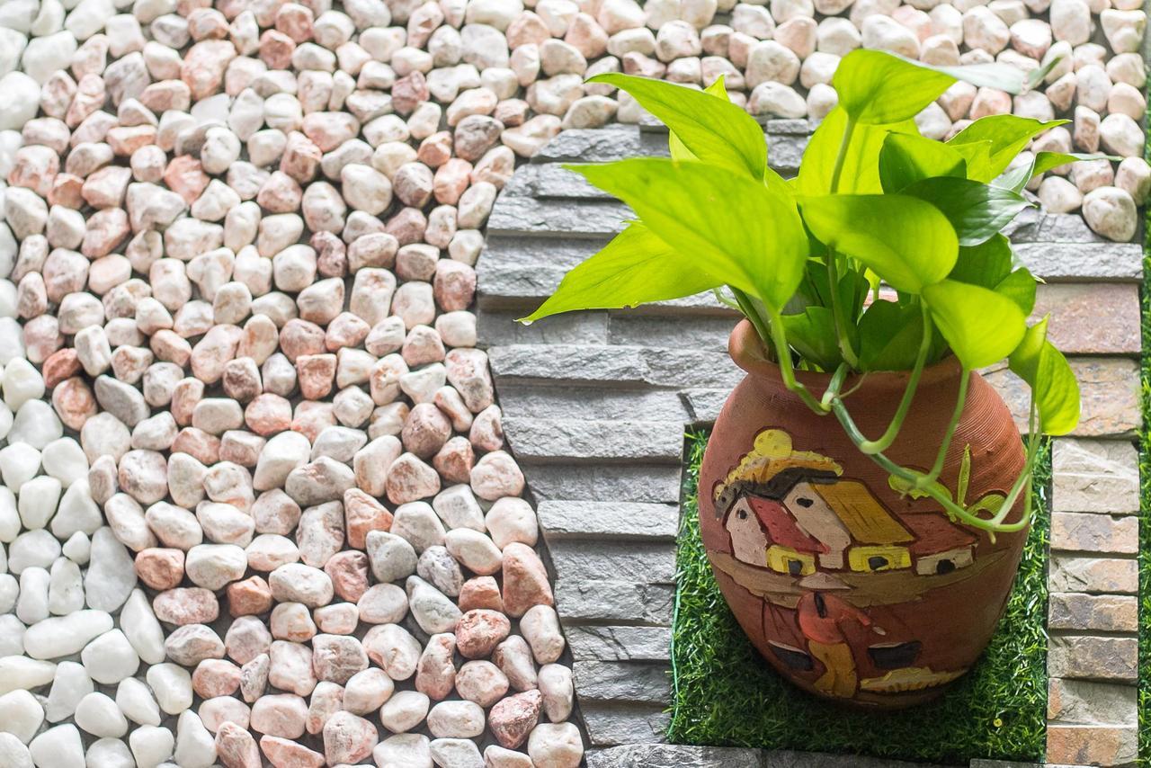 Bean Grass Homestay Χόι Αν Εξωτερικό φωτογραφία