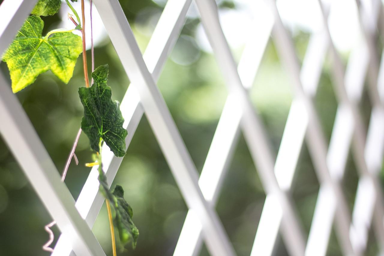 Bean Grass Homestay Χόι Αν Εξωτερικό φωτογραφία